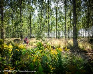 Boerenrock Festival Enduro photo