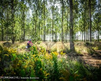 Boerenrock Festival Enduro photo