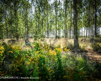 Boerenrock Festival Enduro photo