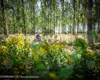 Boerenrock Festival Enduro photo