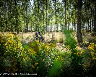 Boerenrock Festival Enduro photo