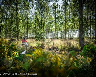 Boerenrock Festival Enduro photo