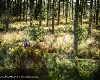 Boerenrock Festival Enduro photo