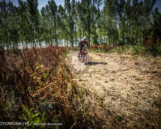 Boerenrock Festival Enduro photo