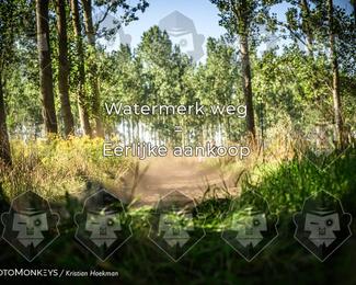 Boerenrock Festival Enduro photo