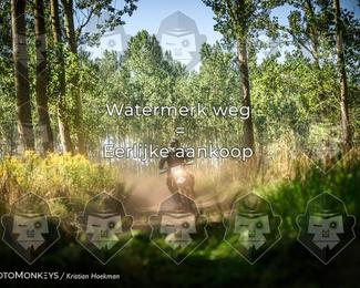 Boerenrock Festival Enduro photo