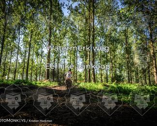 Boerenrock Festival Enduro photo