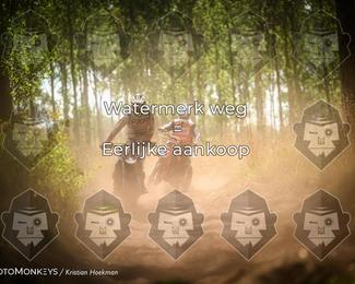 Boerenrock Festival Enduro photo