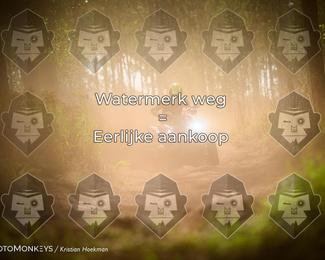 Boerenrock Festival Enduro photo