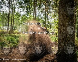 Boerenrock Festival Enduro photo