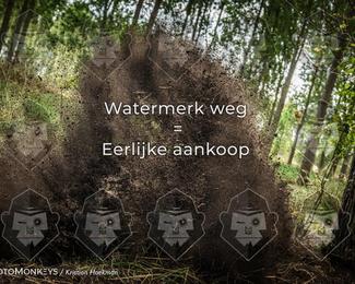 Boerenrock Festival Enduro photo