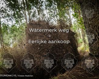 Boerenrock Festival Enduro photo