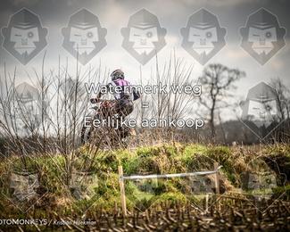 Cross Country Basse photo