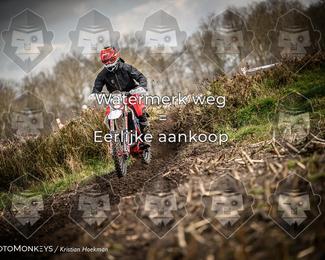 Cross Country Basse photo