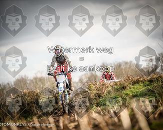Cross Country Basse photo