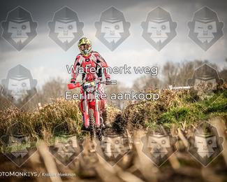 Cross Country Basse photo
