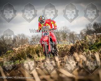Cross Country Basse photo