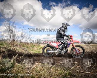 Cross Country Basse photo