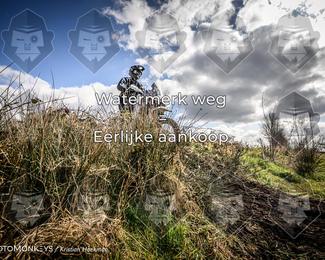 Cross Country Basse photo