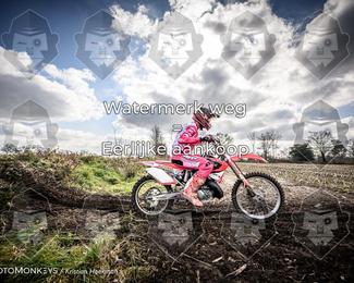 Cross Country Basse photo