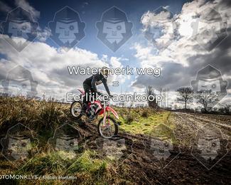 Cross Country Basse photo