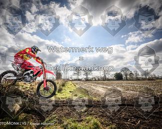 Cross Country Basse photo