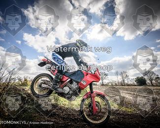 Cross Country Basse photo