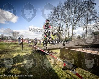Cross Country Basse photo