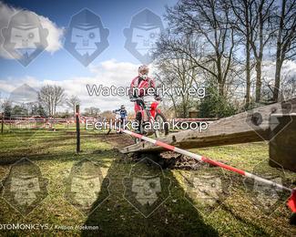 Cross Country Basse photo