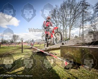 Cross Country Basse photo