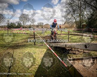 Cross Country Basse photo