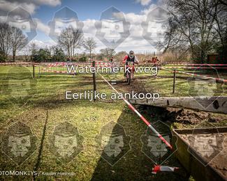 Cross Country Basse photo