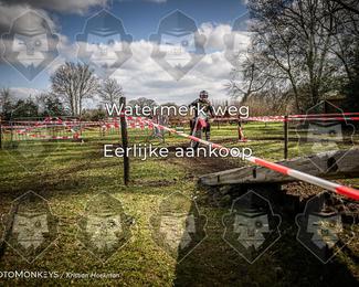 Cross Country Basse photo