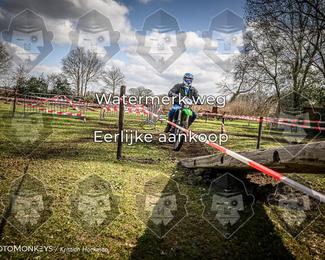 Cross Country Basse photo