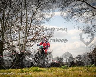 Cross Country Basse photo