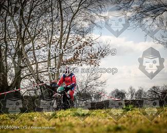 Cross Country Basse photo