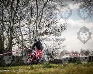 Cross Country Basse photo