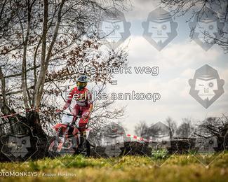 Cross Country Basse photo