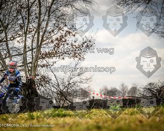 Cross Country Basse photo