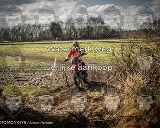 Cross Country Basse photo