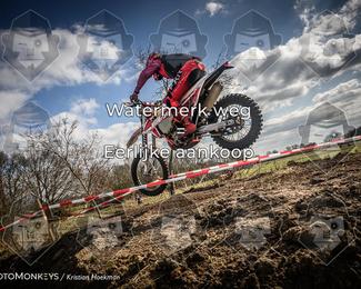 Cross Country Basse photo