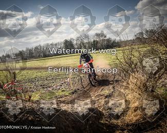 Cross Country Basse photo