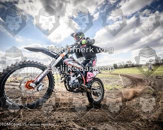 Cross Country Basse photo