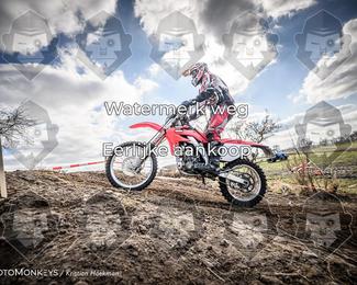 Cross Country Basse photo