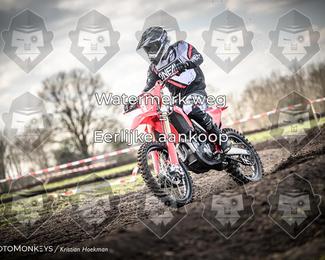 Cross Country Basse photo