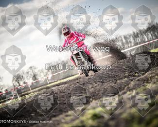 Cross Country Basse photo