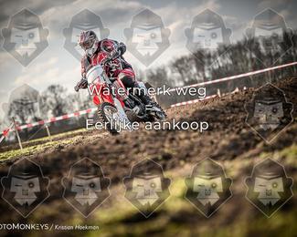 Cross Country Basse photo