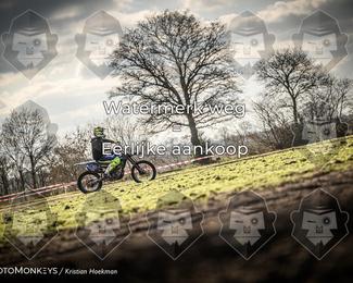 Cross Country Basse photo
