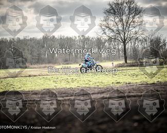 Cross Country Basse photo