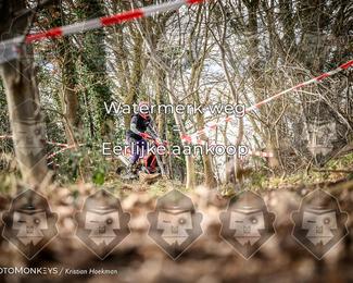Cross Country Basse photo